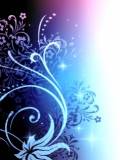 Flores y Estrellas