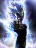 Vegeta Power