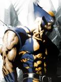 Wolverine el Fuerte