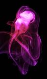 Abstracta humo rosado