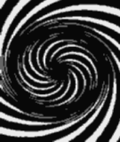 Molinillo en Movimiento