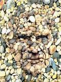 Cara formada con piedras