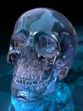 Conjunto Calavera en Cristal