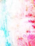 Lienzo Multicolor