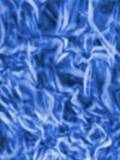 Raíces Azules