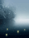 El Niño y las Estrellas
