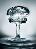 Hongo de Agua