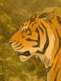 Animación Tigre rugiendo