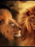 Pintura de leones