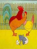 Gallina Infiel