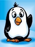 Pingüinito saludando