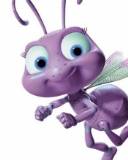 Bugs Life