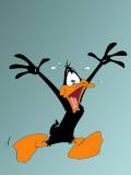 Pato Lucrecio corriendo
