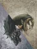 Zelda Pensando