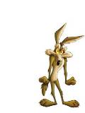 Coyote molesto
