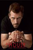 House con cerebro en sus Manos