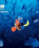 Buscando a Nemo