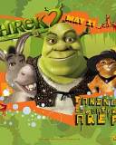 Shrek, el burro y el Gato