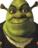 Rostro de Shrek