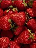 Muchas fresas rojas