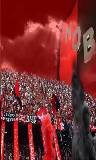 Mini fondo Newells