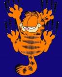 Garfield aferrado a la Pared