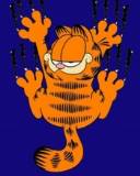 Garfield aferrado a la Pared