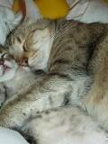 Dormidos juntos
