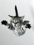 Super salto