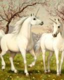 Dos unicornios blancos