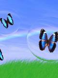 Mariposas azules sobre césped Verde