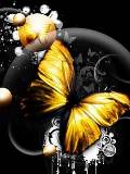 Yellow Butterfly