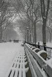 Camino de Central Park Nevando