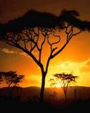 Atardecer africano