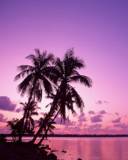 Islote con palmeras al Atardecer