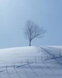 Nieve en una loma