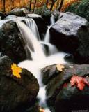 Riachuelo entre las piedras