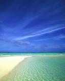 Una Playa con cielo Azul y Aguas Cristalina
