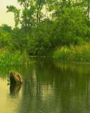 Lago de aguas Verdes