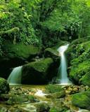 Cascada de río tropical