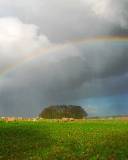 Pradera verde bajo la lluvia