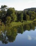 Bosque Tropical junto al Río