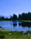 Orilla de un lago rodeado de Bosques