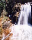 Violenta Cascada en medio del Bosque