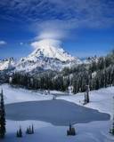 Lago rodeado de bosques Nevados