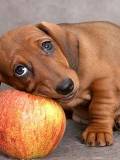 Acariciando una manzana