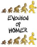 La evolución de Homero