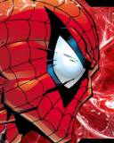 Ojo de Spiderman