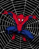 Spider Man sobre tela de araña