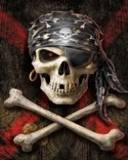 Skull Pirate